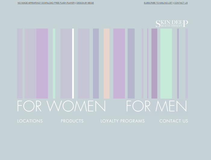 Skin Deep website