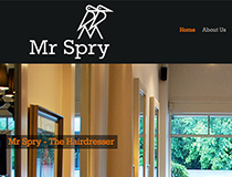 Mr Spry website